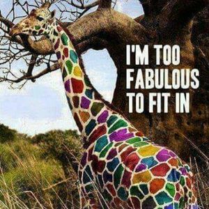 Meet your Posher, Caro